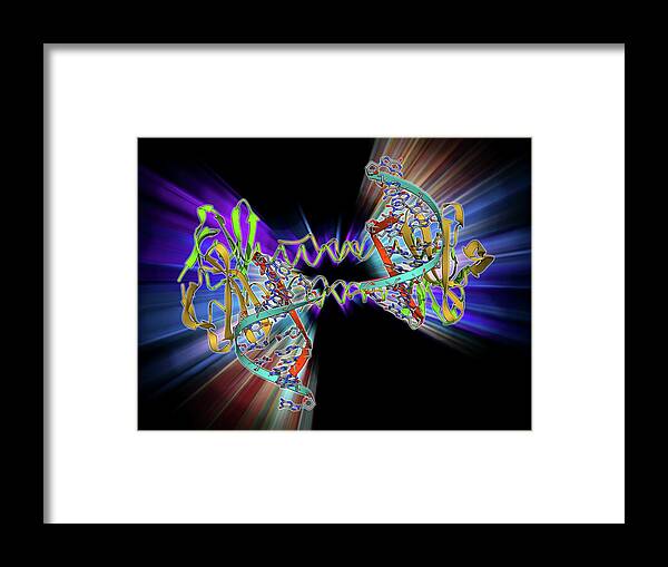 Alpha Helix Framed Print featuring the photograph Dna Binding Protein by Laguna Design