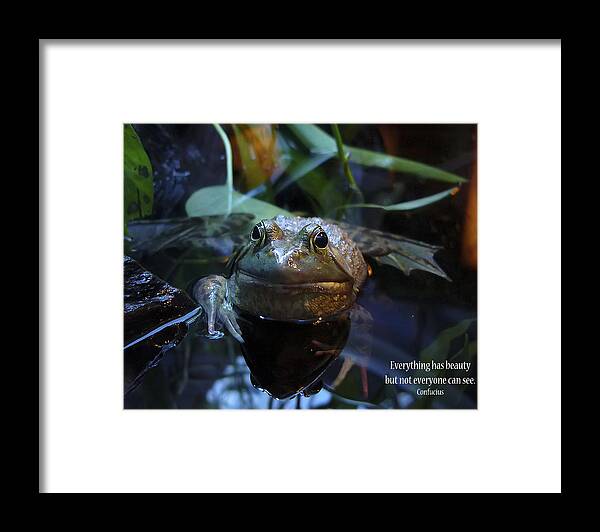 Frog Framed Print featuring the photograph Do You See Beauty by Rhonda McDougall