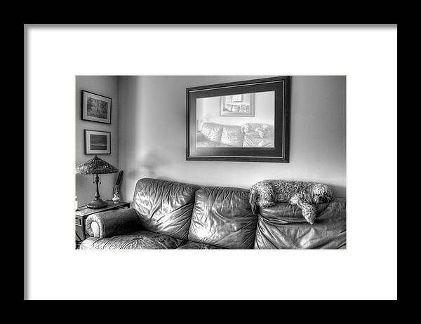 Dog Framed Print featuring the photograph Dog as Art by JC Findley