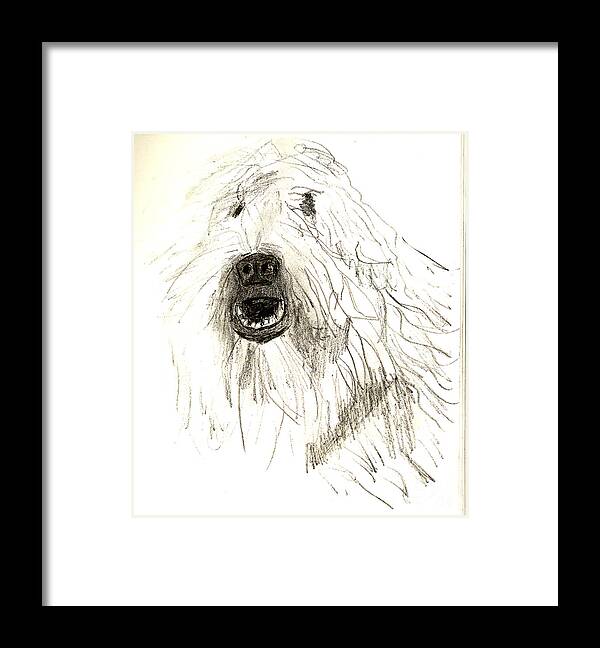 Dog Framed Print featuring the drawing Dog by Sandy McIntire