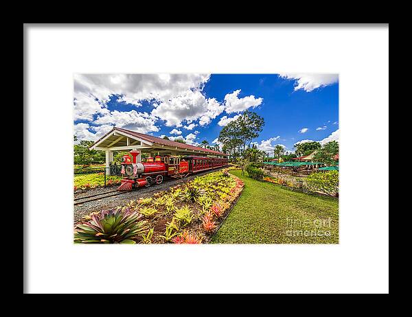 Dole Plantation Train Framed Print featuring the photograph Dole Plantation Train by Aloha Art