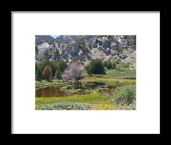 Elko Nevada Landscape Photography Framed Print featuring the photograph Dollar Lake by Jenessa Rahn