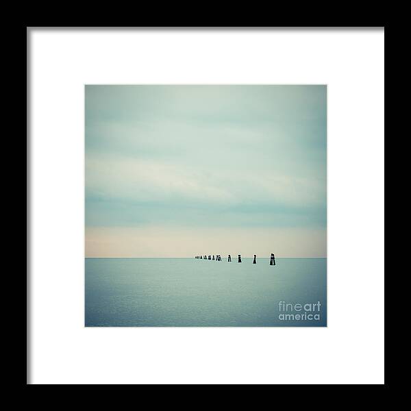 1x1 Framed Print featuring the photograph Dolphin by Hannes Cmarits