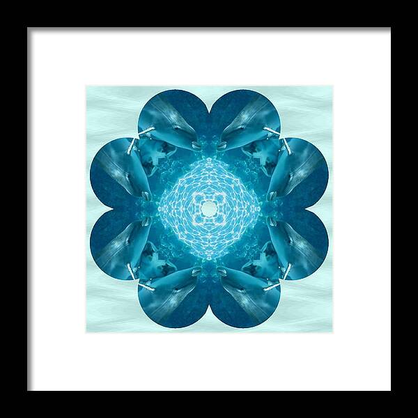 Dolphin Framed Print featuring the photograph Dolphin Kaleidoscope by Natalie Rotman Cote