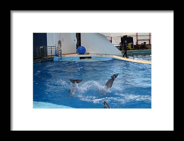 Inner Framed Print featuring the photograph Dolphin Show - National Aquarium in Baltimore MD - 1212262 by DC Photographer