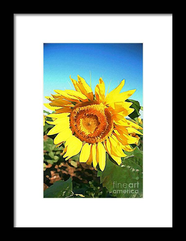 Joanmcarthur Framed Print featuring the photograph Dominant Sunflower by Joan McArthur