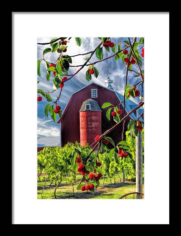 Door County Framed Print featuring the painting Door County Cherry Harvest Red Barn by Christopher Arndt