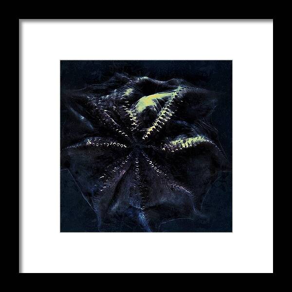 Beautiful Framed Print featuring the photograph Dot

#aquarium #bw #blue #beautiful by Moto Jp