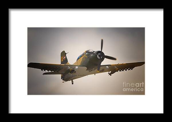 Douglas Aircraft Framed Print featuring the photograph Douglas A-1 Skyraider by Gus McCrea