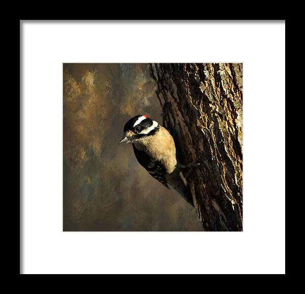 Bird Framed Print featuring the photograph Downy Woodpecker 3 by Deena Stoddard