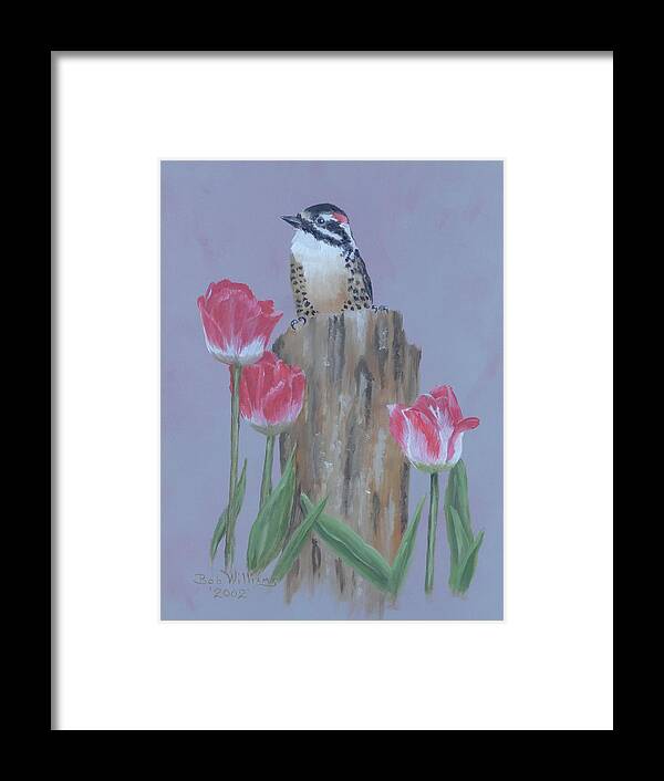 Woodpecker Framed Print featuring the painting Downy Woodpecker by Bob Williams