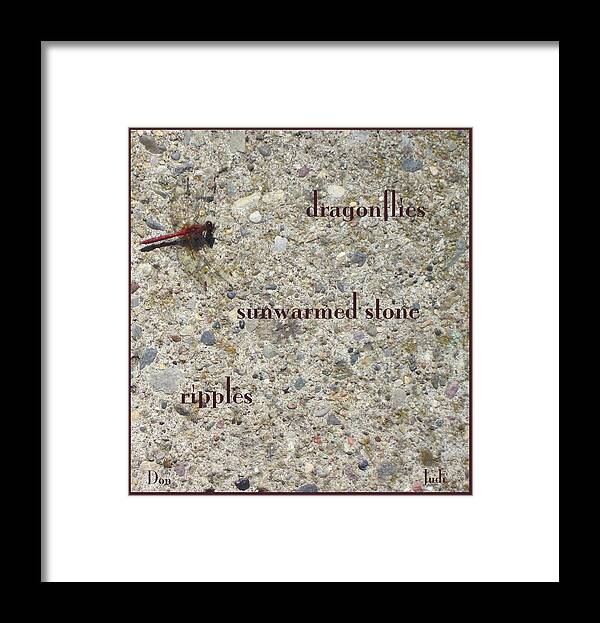 Dragonfly Framed Print featuring the photograph Dragonflies Haiga by Judi and Don Hall