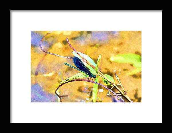 Dragonfly Framed Print featuring the digital art Dragonfly Blues by Audreen Gieger