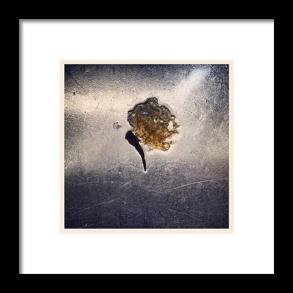 Dragonfly Framed Print featuring the photograph Dragonfly In The Sink by Genevieve Esson