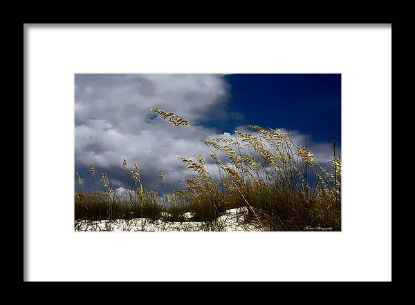  Florida Framed Print featuring the photograph Drama In The Sky by Debra Forand