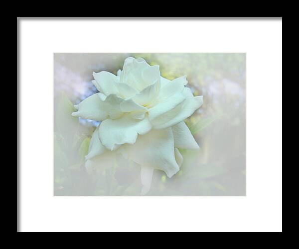 Gardenia Framed Print featuring the digital art Dream Flower by Ginny Schmidt