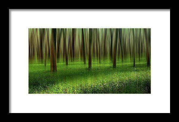 Tranquility Framed Print featuring the photograph Dream For Heart by Simonlong
