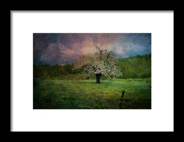 Image By Jeff Folger Framed Print featuring the photograph Dream of Spring by Jeff Folger