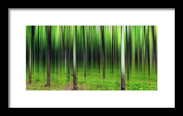 Tranquility Framed Print featuring the photograph Dream by Simonlong