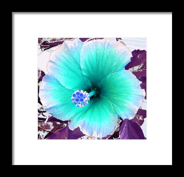 Dream Framed Print featuring the photograph Dreamflower by Linda Bailey