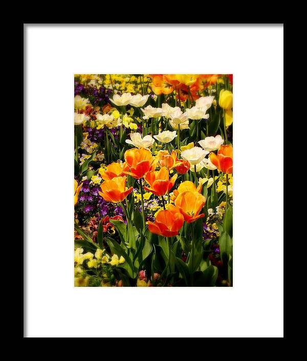 Fine Art Framed Print featuring the photograph Dreaming in Color by Rodney Lee Williams