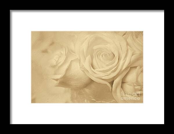 White Roses Framed Print featuring the digital art Dreamy Roses by Jayne Carney