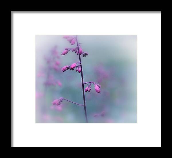 Softness Framed Print featuring the photograph Dressed in Pink by Michelle Ayn Potter