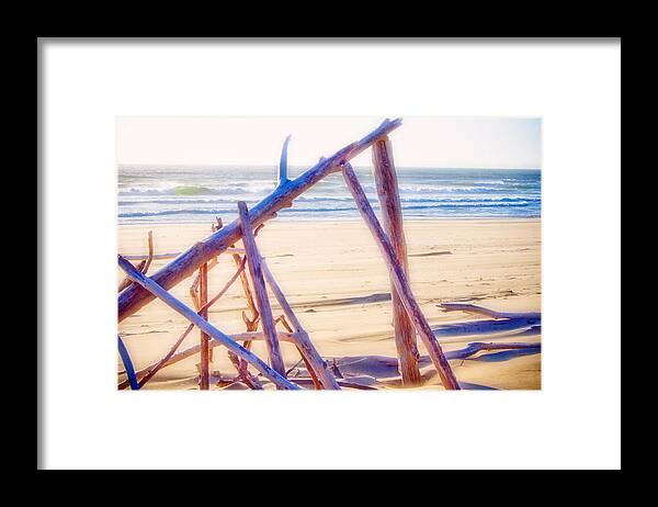 Beach Framed Print featuring the photograph Driftwood 2 by Adria Trail