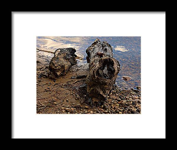 Wood Framed Print featuring the photograph Driftwood By The Lake by Bruce Carpenter
