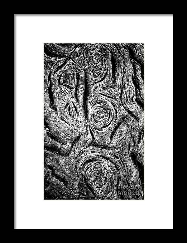 Driftwood Framed Print featuring the photograph Driftwood eyes Botany Bay SC by Carrie Cranwill