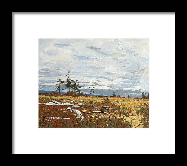 Original Oil Painting By Rob Owen. Landscape Painting Framed Print featuring the painting Driftwood Meadow by Rob Owen
