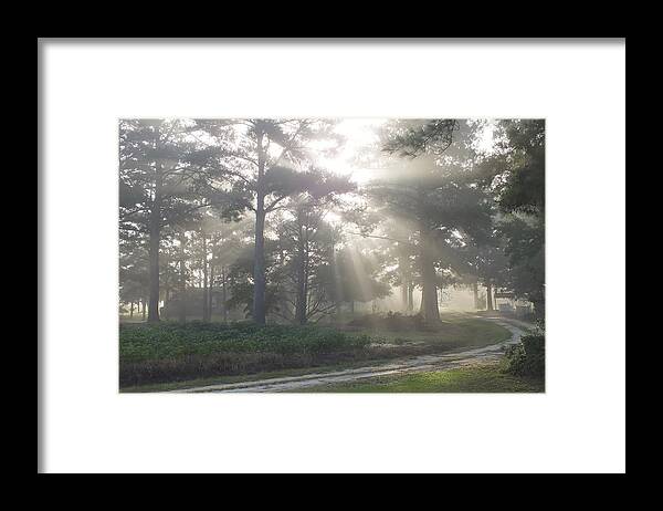 Driveway To Paradise Framed Print featuring the photograph Driveway to Paradise by Mike McGlothlen