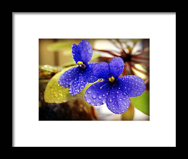 Drops 2 Framed Print featuring the photograph Drops 3 by Dark Whimsy