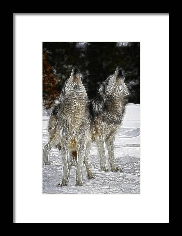 Dual Howl Framed Print featuring the photograph Dual Howl by Wes and Dotty Weber