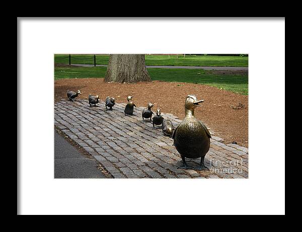 Ducklings Framed Print featuring the photograph Ducklings by Christiane Schulze Art And Photography