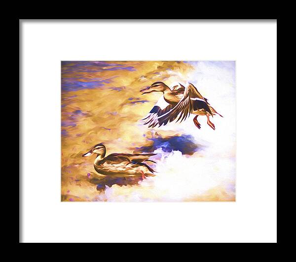 Mallard Framed Print featuring the mixed media Ducks Landing by Priya Ghose