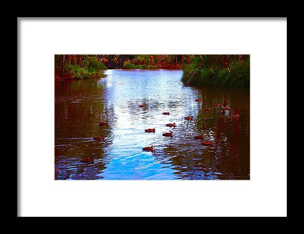 Ducks Framed Print featuring the photograph Ducks by Mark Blauhoefer