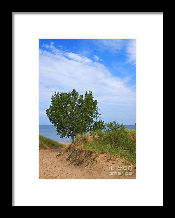 Dune Framed Print featuring the photograph Indiana Dunes National Park by Ann Horn