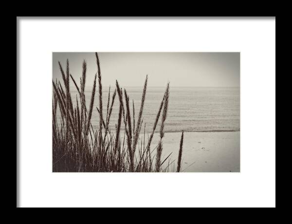 Beaches Framed Print featuring the Dune Grass in Early Spring by Michelle Calkins
