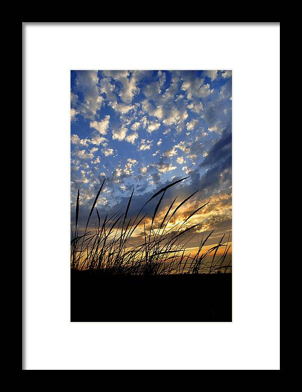 Sleeping Bear Framed Print featuring the photograph Dune Grass by Jamieson Brown