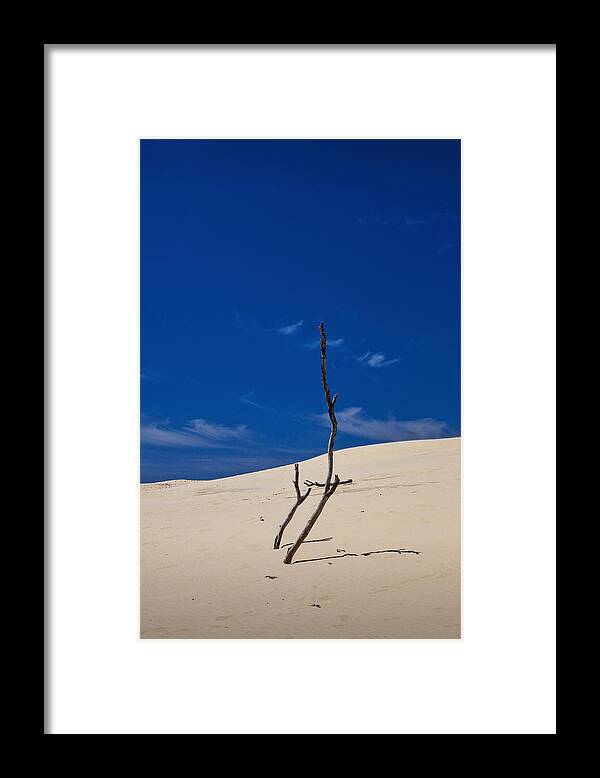 Art Framed Print featuring the photograph Dune with Dead Trees by Randall Nyhof