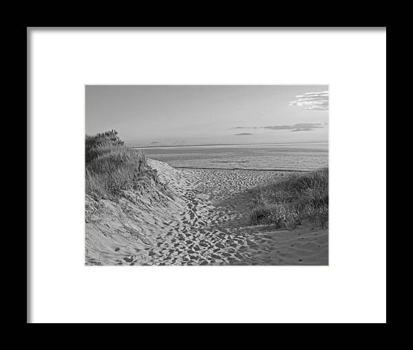 Cape Cod Framed Print featuring the photograph Dunes Walk by Barbara McDevitt