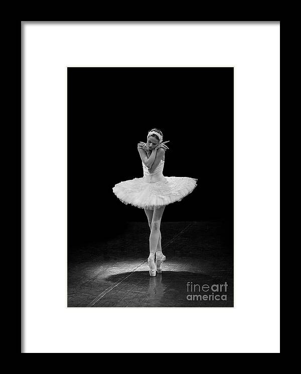 Clare Bambers Framed Print featuring the photograph Dying Swan 5. by Clare Bambers