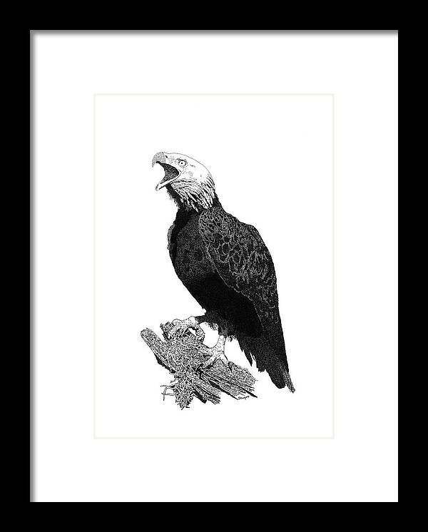 Pen Framed Print featuring the drawing Eagle 1 by David Doucot