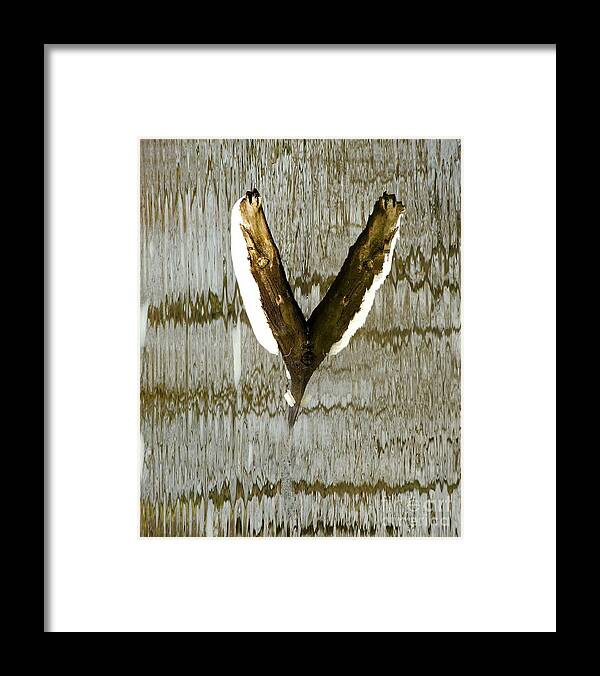 Abstract Framed Print featuring the photograph Eagle Wings by Marcia Lee Jones