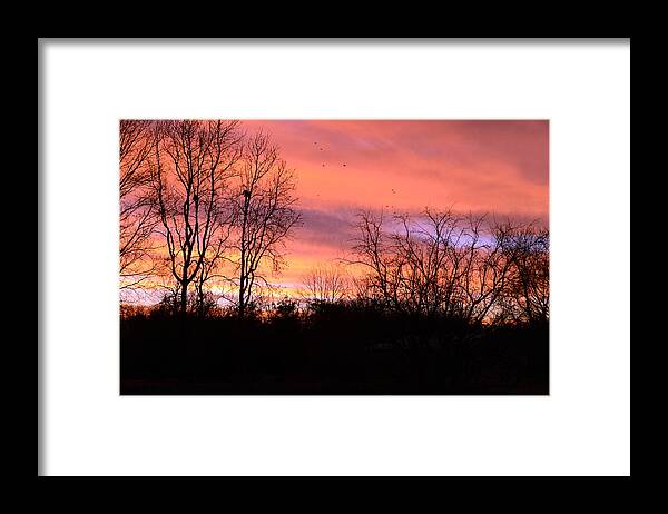 Sunrise Framed Print featuring the photograph Early Morning Color Canvass by Wanda Brandon
