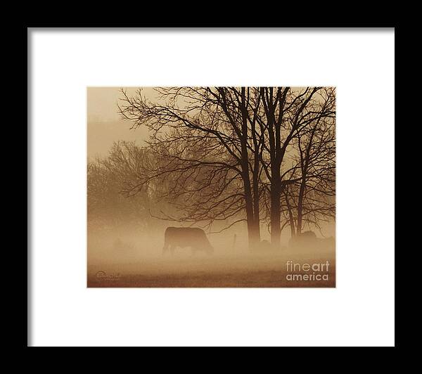 Morning Fog Framed Print featuring the photograph Early Morning Fog 002 by Robert ONeil