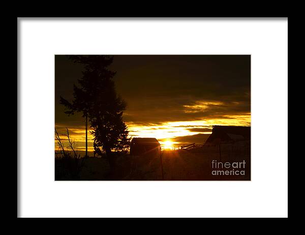 Sunrise Framed Print featuring the photograph Early Morning by Loni Collins