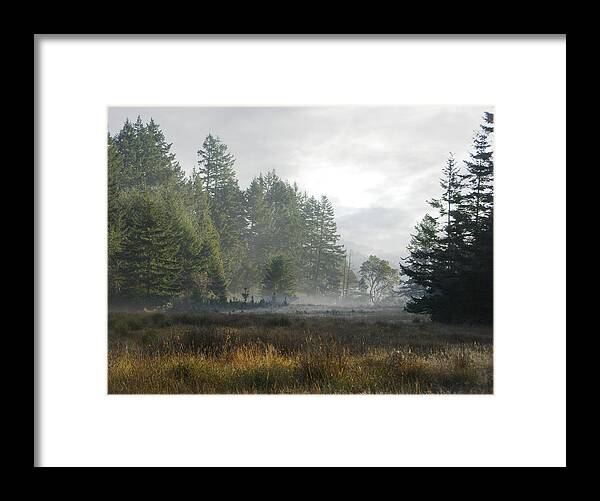Misty Meadow Framed Print featuring the photograph Early Morning Mist by Marilyn Wilson