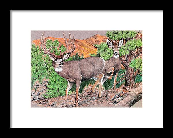 Mule Deer Framed Print featuring the painting Early Morning Retreat by Darcy Tate